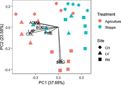 Agriculture by Irrigation Modifies Microbial Communities and Soil Functions Associated With Enhancing C Uptake of a Steppe Semi-Arid Soil in Northern Patagonia